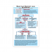 PALS, ACLS & BLS Card Pack 