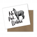 No Probllama Greeting Card