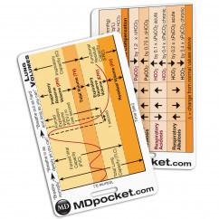 Rapid ID - ABG & Lung Volumes