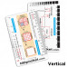 Rapid ID - EKG Intervals & Measures