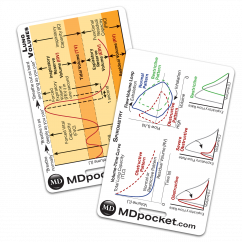 Rapid ID - Lung Volumes & Spirometry