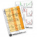 Rapid ID - Lung Volumes & Spirometry