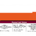 WhiteCoat Clipboard - Vertical - Orange Medical Edition
