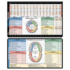 Dental Adhesive Reference Label
