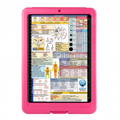 Flat Storage EMT Clipboard