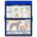 WhiteCoat Clipboard - Blue Canine Edition