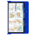 WhiteCoat Clipboard - Blue Canine Edition