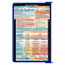 WhiteCoat Clipboard® - Blue Neonatal Edition