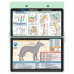 WhiteCoat Clipboard - Mint Canine Edition