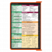 WhiteCoat Clipboard® - Orange Pharmacy Edition