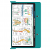 WhiteCoat Clipboard - Teal Canine Edition