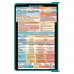 WhiteCoat Clipboard® - Teal Neonatal Edition
