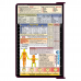 WhiteCoat Clipboard® - Wine EMT Edition