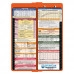 WhiteCoat Clipboard® - Vertical - Orange Pediatric Edition