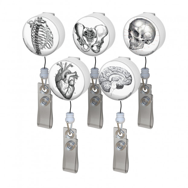 Vintage Anatomy Button Badge Reel Pack