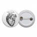 Vintage Heart Diagram Pinback Button