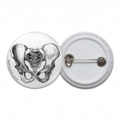 Vintage Pelvis Diagram Pinback Button