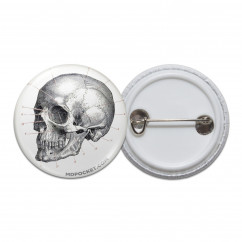 Vintage Skull Diagram Pinback Button