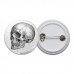 Vintage Skull Diagram Pinback Button