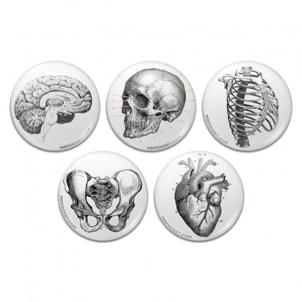 Vintage Anatomy Pinback Buttons