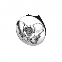 Vintage Pelvis Diagram Stethoscope Button