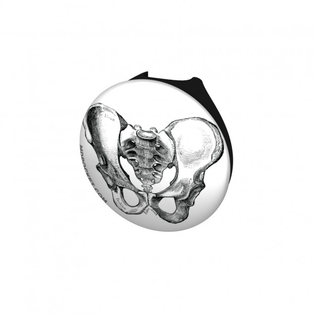 Vintage Pelvis Diagram Stethoscope Button