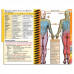 MDpocket California State University Monterey Bay Physician Assistant - 2023